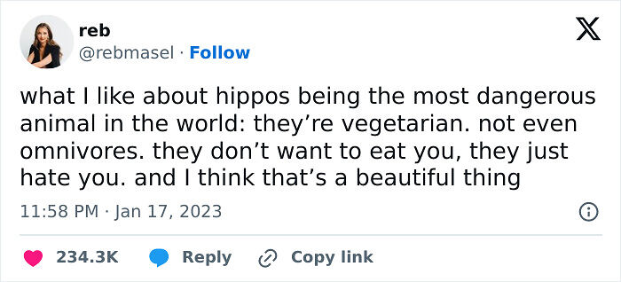 65 Funny Vegetarian Tweets For Those Who Are Tired Of Explaining Their Diet For The 100th Time