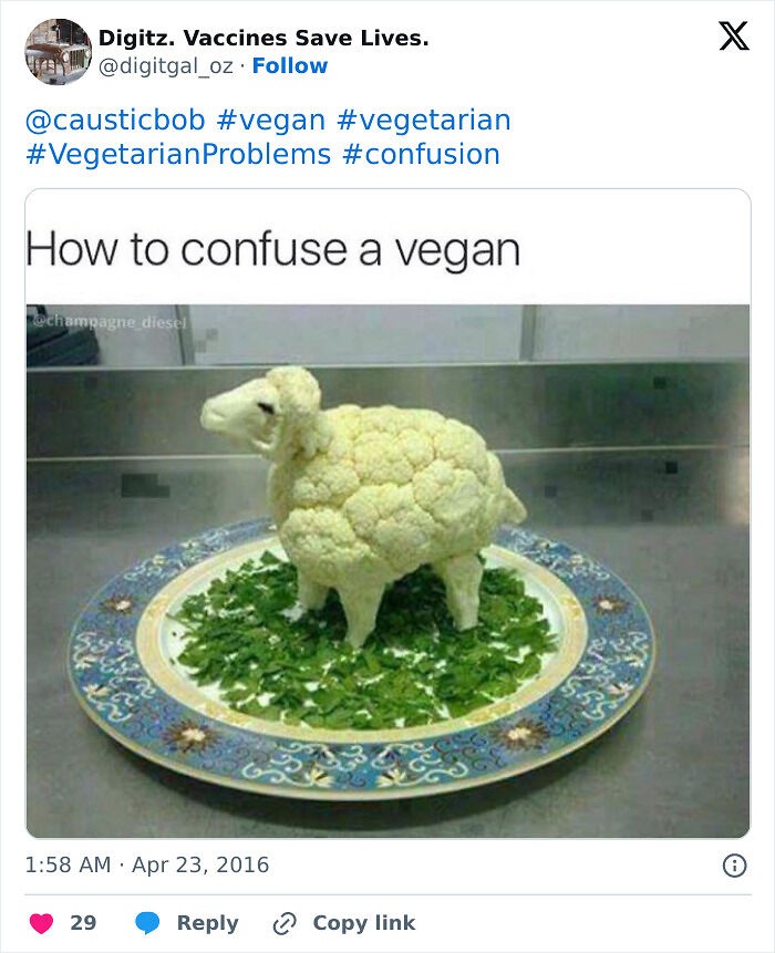 65 Funny Vegetarian Tweets For Those Who Are Tired Of Explaining Their Diet For The 100th Time