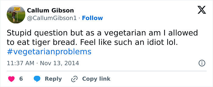65 Funny Vegetarian Tweets For Those Who Are Tired Of Explaining Their Diet For The 100th Time