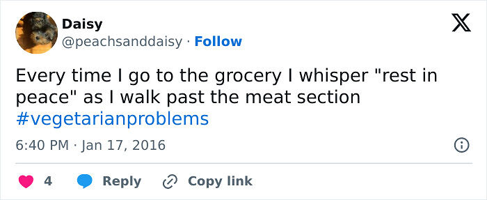 65 Funny Vegetarian Tweets For Those Who Are Tired Of Explaining Their Diet For The 100th Time