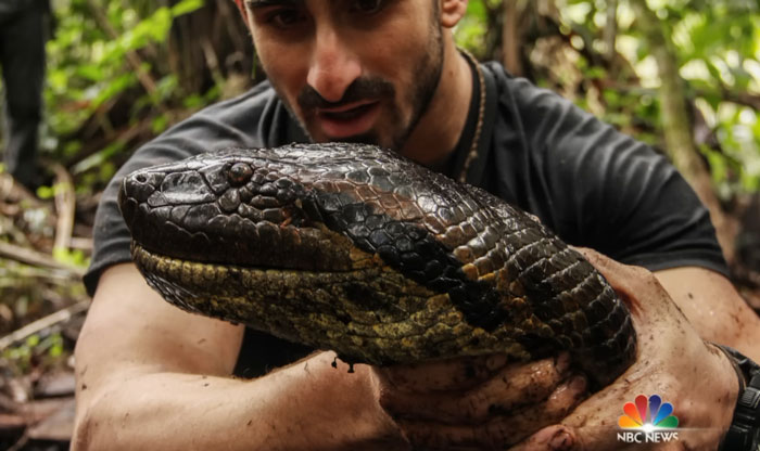 Man Lets A Giant Snake Try To Swallow Him, Says A Much Smaller Animal Hurt Far More Man Lets A Giant Snake Try To Swallow Him, Says A Much Smaller Animal Hurt Far More