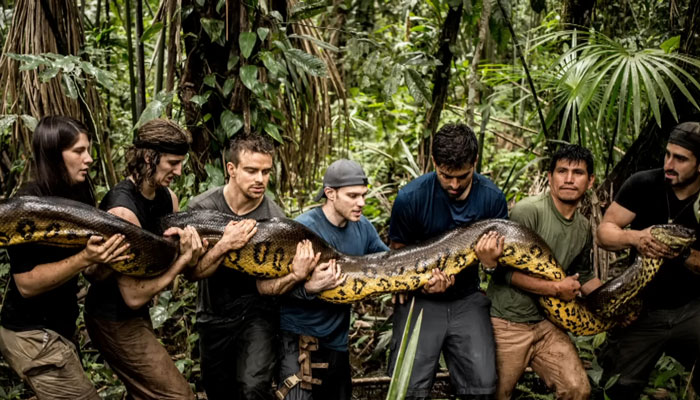 Man Lets A Giant Snake Try To Swallow Him, Says A Much Smaller Animal Hurt Far More Man Lets A Giant Snake Try To Swallow Him, Says A Much Smaller Animal Hurt Far More