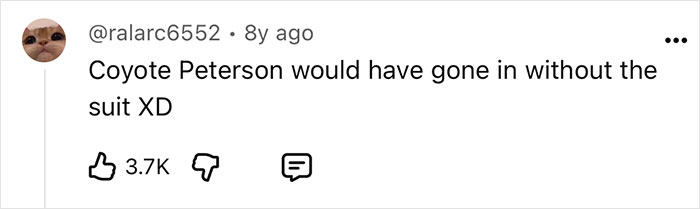 Man Lets A Giant Snake Try To Swallow Him, Says A Much Smaller Animal Hurt Far More Man Lets A Giant Snake Try To Swallow Him, Says A Much Smaller Animal Hurt Far More