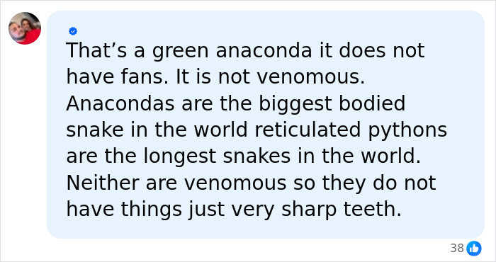 Man Lets A Giant Snake Try To Swallow Him, Says A Much Smaller Animal Hurt Far More Man Lets A Giant Snake Try To Swallow Him, Says A Much Smaller Animal Hurt Far More