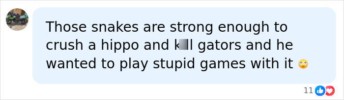 Man Lets A Giant Snake Try To Swallow Him, Says A Much Smaller Animal Hurt Far More Man Lets A Giant Snake Try To Swallow Him, Says A Much Smaller Animal Hurt Far More
