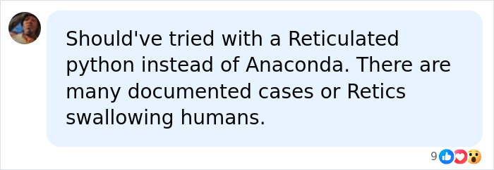 Man Lets A Giant Snake Try To Swallow Him, Says A Much Smaller Animal Hurt Far More Man Lets A Giant Snake Try To Swallow Him, Says A Much Smaller Animal Hurt Far More
