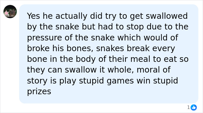 Man Lets A Giant Snake Try To Swallow Him, Says A Much Smaller Animal Hurt Far More Man Lets A Giant Snake Try To Swallow Him, Says A Much Smaller Animal Hurt Far More