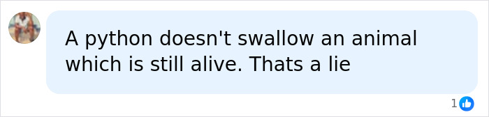 Man Lets A Giant Snake Try To Swallow Him, Says A Much Smaller Animal Hurt Far More Man Lets A Giant Snake Try To Swallow Him, Says A Much Smaller Animal Hurt Far More