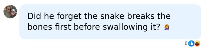 Man Lets A Giant Snake Try To Swallow Him, Says A Much Smaller Animal Hurt Far More Man Lets A Giant Snake Try To Swallow Him, Says A Much Smaller Animal Hurt Far More