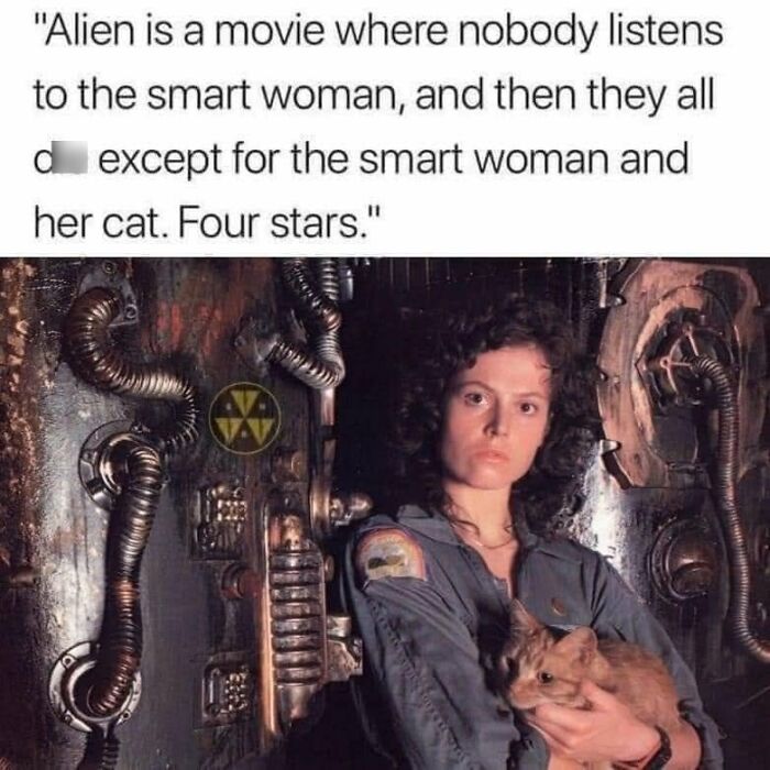 This Page Shared 57 Hilarious Cat Posts For Anyone Who Has Never Said “Enough Cats” This Page Shared 57 Hilarious Cat Posts For Anyone Who Has Never Said “Enough Cats”