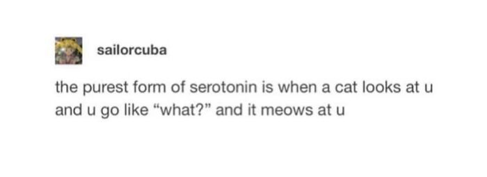 This Page Shared 57 Hilarious Cat Posts For Anyone Who Has Never Said “Enough Cats” This Page Shared 57 Hilarious Cat Posts For Anyone Who Has Never Said “Enough Cats”