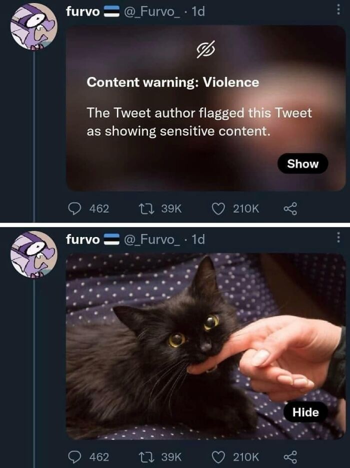 This Page Shared 57 Hilarious Cat Posts For Anyone Who Has Never Said “Enough Cats” This Page Shared 57 Hilarious Cat Posts For Anyone Who Has Never Said “Enough Cats”