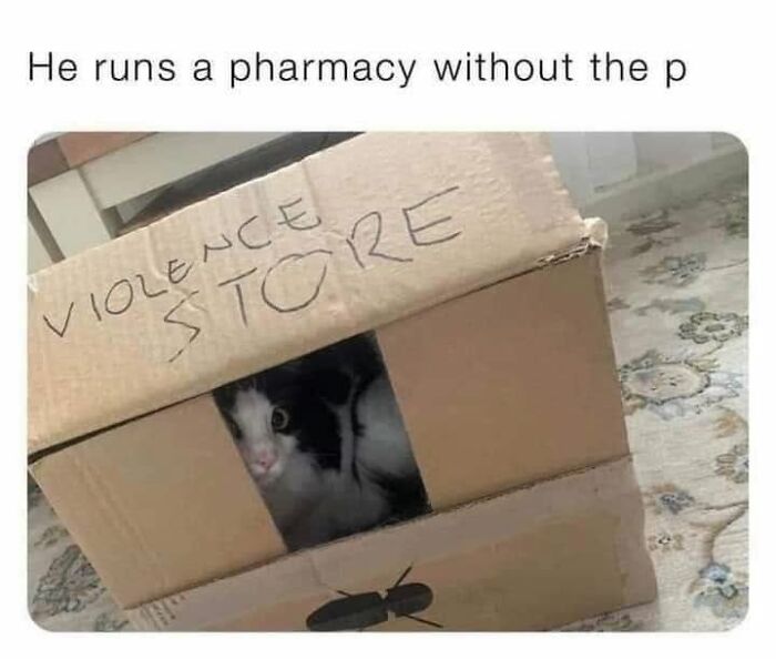 This Page Shared 57 Hilarious Cat Posts For Anyone Who Has Never Said “Enough Cats” This Page Shared 57 Hilarious Cat Posts For Anyone Who Has Never Said “Enough Cats”