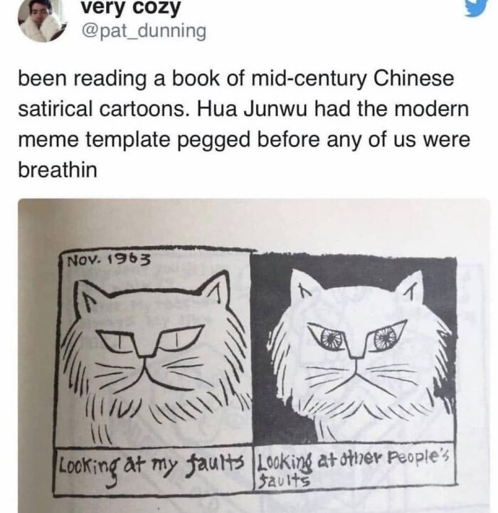 This Page Shared 57 Hilarious Cat Posts For Anyone Who Has Never Said “Enough Cats” This Page Shared 57 Hilarious Cat Posts For Anyone Who Has Never Said “Enough Cats”