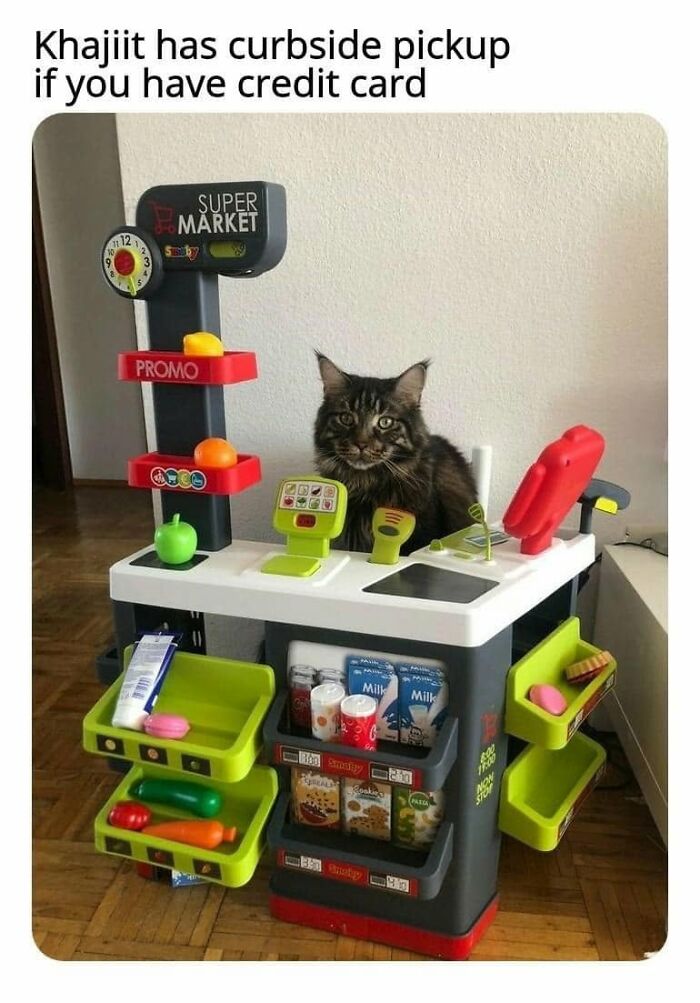 This Page Shared 57 Hilarious Cat Posts For Anyone Who Has Never Said “Enough Cats” This Page Shared 57 Hilarious Cat Posts For Anyone Who Has Never Said “Enough Cats”