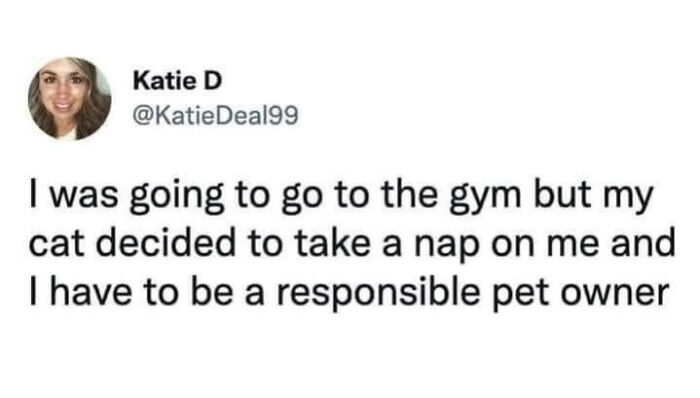 This Page Shared 57 Hilarious Cat Posts For Anyone Who Has Never Said “Enough Cats” This Page Shared 57 Hilarious Cat Posts For Anyone Who Has Never Said “Enough Cats”
