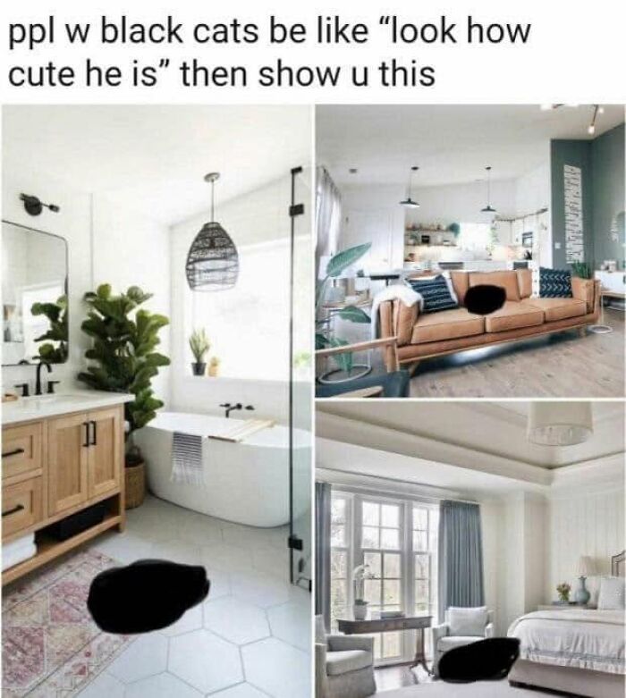 This Page Shared 57 Hilarious Cat Posts For Anyone Who Has Never Said “Enough Cats” This Page Shared 57 Hilarious Cat Posts For Anyone Who Has Never Said “Enough Cats”
