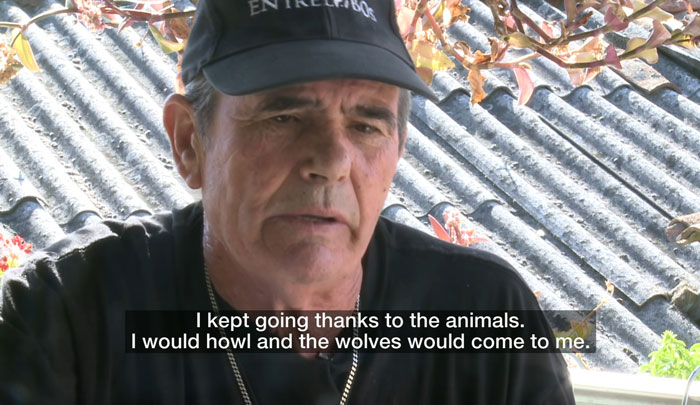 Raised By Wolves After Being Sold As A Kid, Marcos Rodríguez Pantoja Bids Farewell To The World At 80 Raised By Wolves After Being Sold As A Kid, Marcos Rodríguez Pantoja Bids Farewell To The World At 80