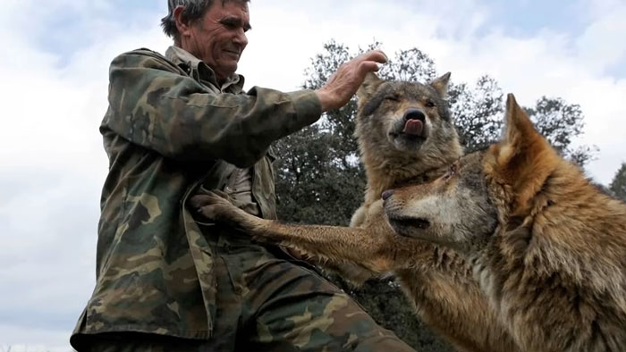 Raised By Wolves After Being Sold As A Kid, Marcos Rodríguez Pantoja Bids Farewell To The World At 80 Raised By Wolves After Being Sold As A Kid, Marcos Rodríguez Pantoja Bids Farewell To The World At 80