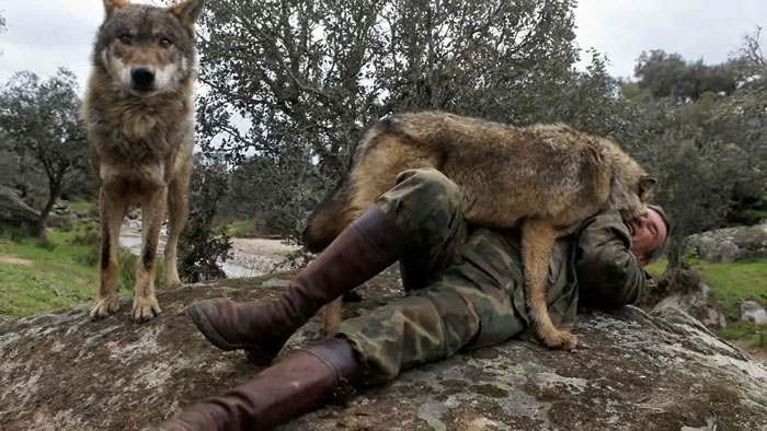 Raised By Wolves After Being Sold As A Kid, Marcos Rodríguez Pantoja Bids Farewell To The World At 80 Raised By Wolves After Being Sold As A Kid, Marcos Rodríguez Pantoja Bids Farewell To The World At 80