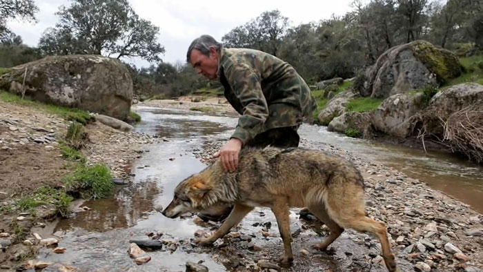 Raised By Wolves After Being Sold As A Kid, Marcos Rodríguez Pantoja Bids Farewell To The World At 80 Raised By Wolves After Being Sold As A Kid, Marcos Rodríguez Pantoja Bids Farewell To The World At 80