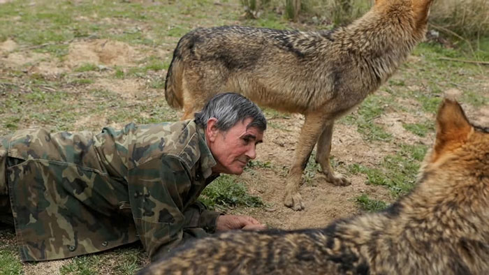 Raised By Wolves After Being Sold As A Kid, Marcos Rodríguez Pantoja Bids Farewell To The World At 80 Raised By Wolves After Being Sold As A Kid, Marcos Rodríguez Pantoja Bids Farewell To The World At 80