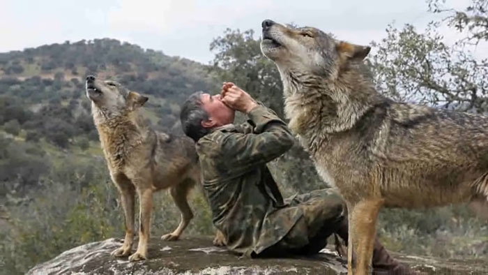 Raised By Wolves After Being Sold As A Kid, Marcos Rodríguez Pantoja Bids Farewell To The World At 80 Raised By Wolves After Being Sold As A Kid, Marcos Rodríguez Pantoja Bids Farewell To The World At 80