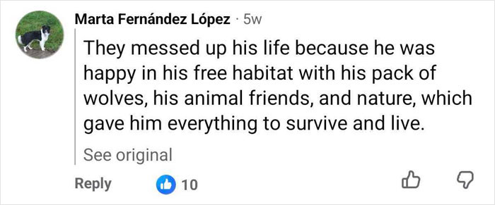 Raised By Wolves After Being Sold As A Kid, Marcos Rodríguez Pantoja Bids Farewell To The World At 80 Raised By Wolves After Being Sold As A Kid, Marcos Rodríguez Pantoja Bids Farewell To The World At 80