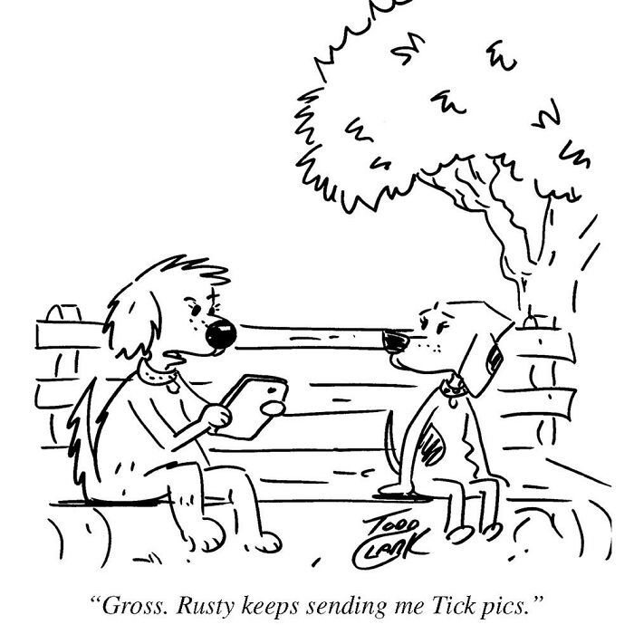 This Artist Created 25 Satirical Comics Which Reveal The Ridiculous In Ordinary Situations