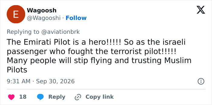 Chilling New Details Emerge After Co-Pilot Stabbed Pilot Mid-Flight, As ‘Hero’ Passenger Breaks Silence