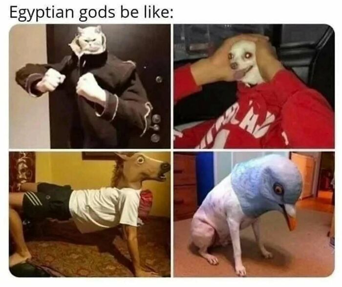 63 History Memes That Might Make You Laugh At Our Twisted Recent And Ancient Past 63 History Memes That Might Make You Laugh At Our Twisted Recent And Ancient Past