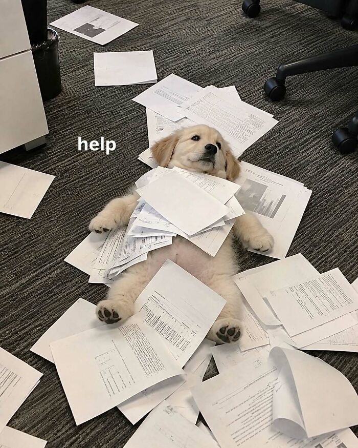 65 Memes For Anyone Who’s One Minor Inconvenience Away From Questioning Everything 65 Memes For Anyone Who’s One Minor Inconvenience Away From Questioning Everything