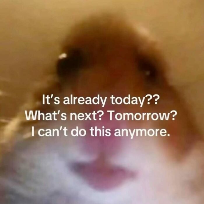 65 Memes For Anyone Who’s One Minor Inconvenience Away From Questioning Everything 65 Memes For Anyone Who’s One Minor Inconvenience Away From Questioning Everything
