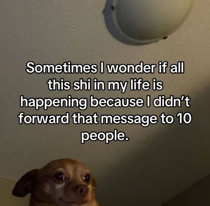 65 Memes For Anyone Who’s One Minor Inconvenience Away From Questioning Everything 65 Memes For Anyone Who’s One Minor Inconvenience Away From Questioning Everything