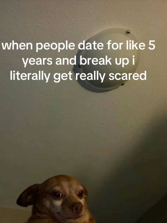 65 Memes For Anyone Who’s One Minor Inconvenience Away From Questioning Everything 65 Memes For Anyone Who’s One Minor Inconvenience Away From Questioning Everything