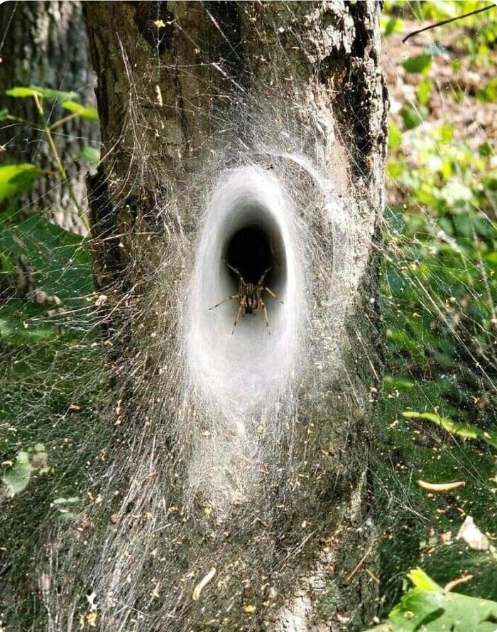 71 Interesting, Cool And Entertaining Pics That Had To Be Shared