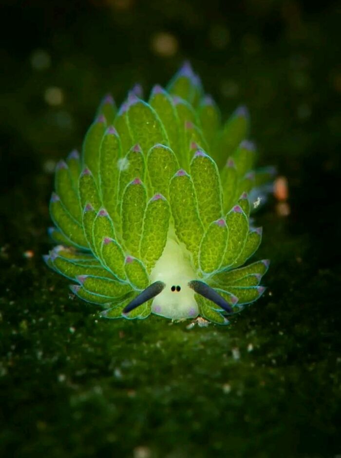 71 Interesting, Cool And Entertaining Pics That Had To Be Shared