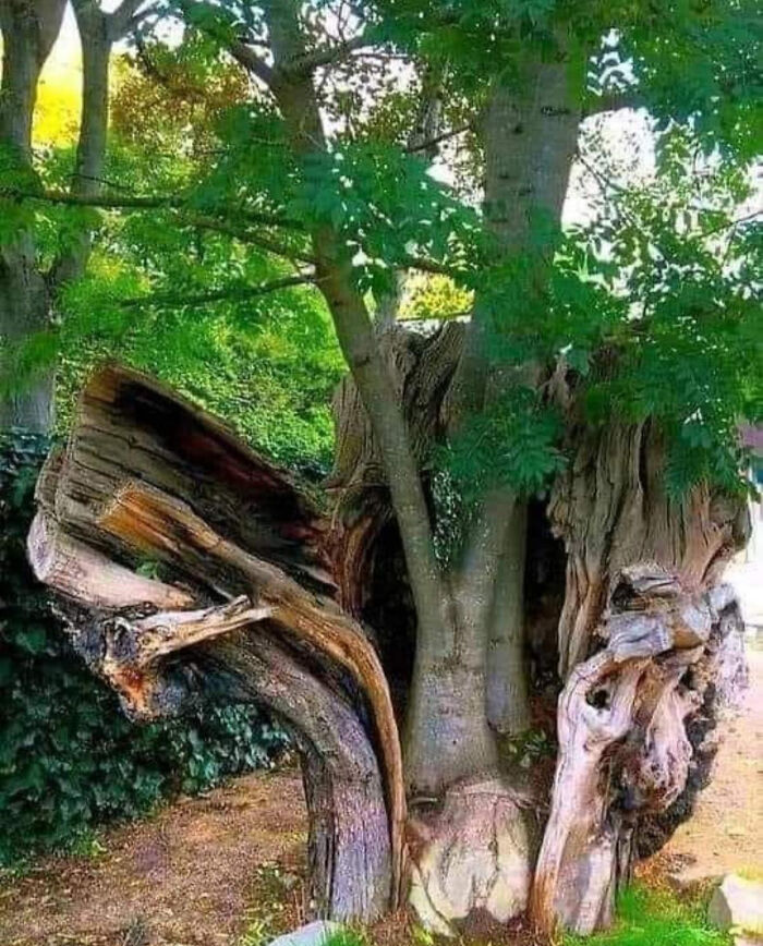 71 Interesting, Cool And Entertaining Pics That Had To Be Shared