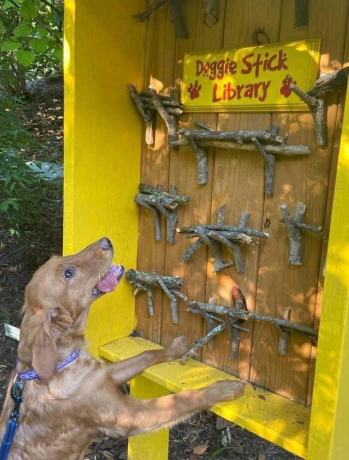 71 Interesting, Cool And Entertaining Pics That Had To Be Shared