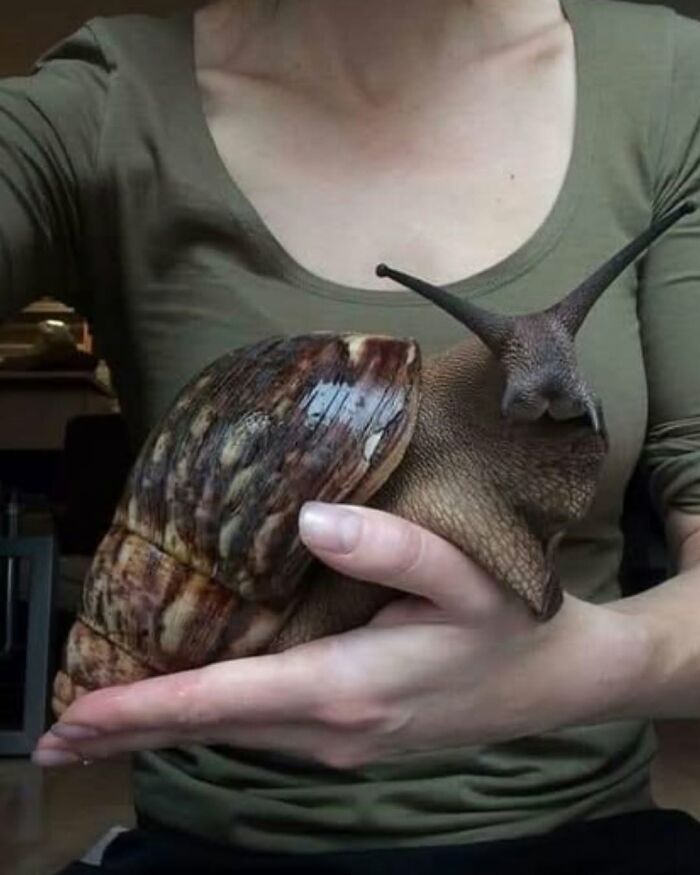 71 Interesting, Cool And Entertaining Pics That Had To Be Shared
