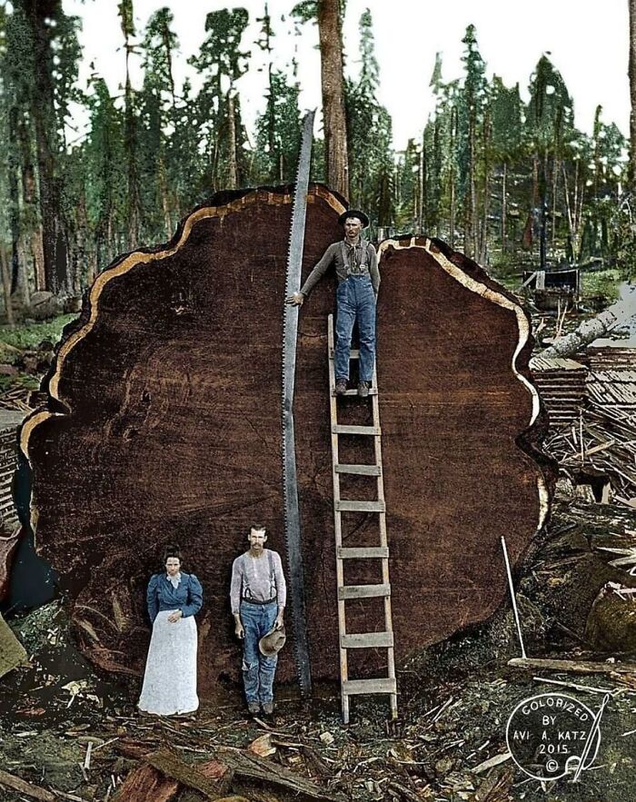 71 Interesting, Cool And Entertaining Pics That Had To Be Shared