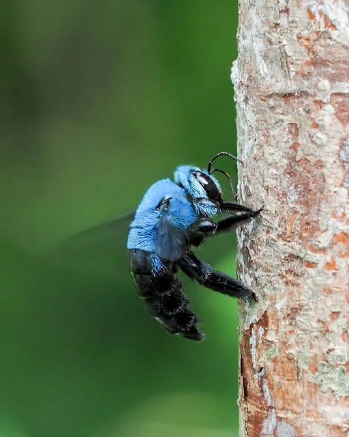 71 Interesting, Cool And Entertaining Pics That Had To Be Shared