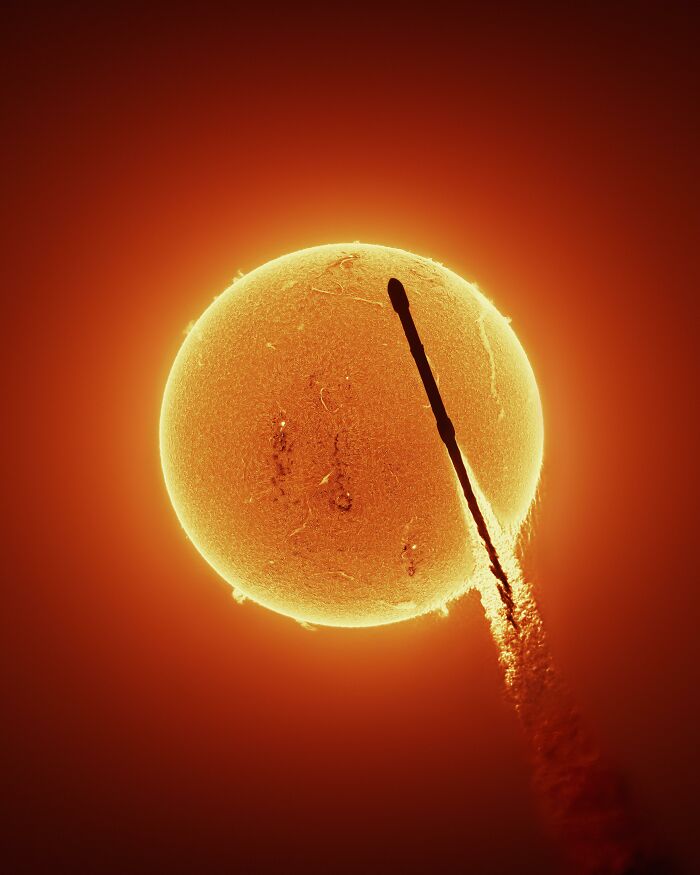 71 Interesting, Cool And Entertaining Pics That Had To Be Shared