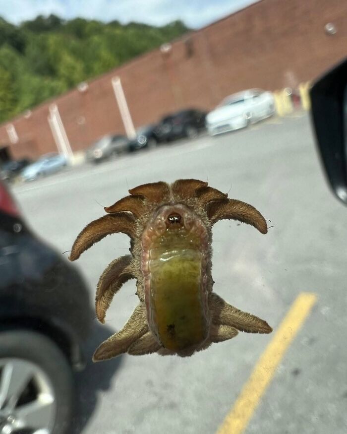 71 Interesting, Cool And Entertaining Pics That Had To Be Shared