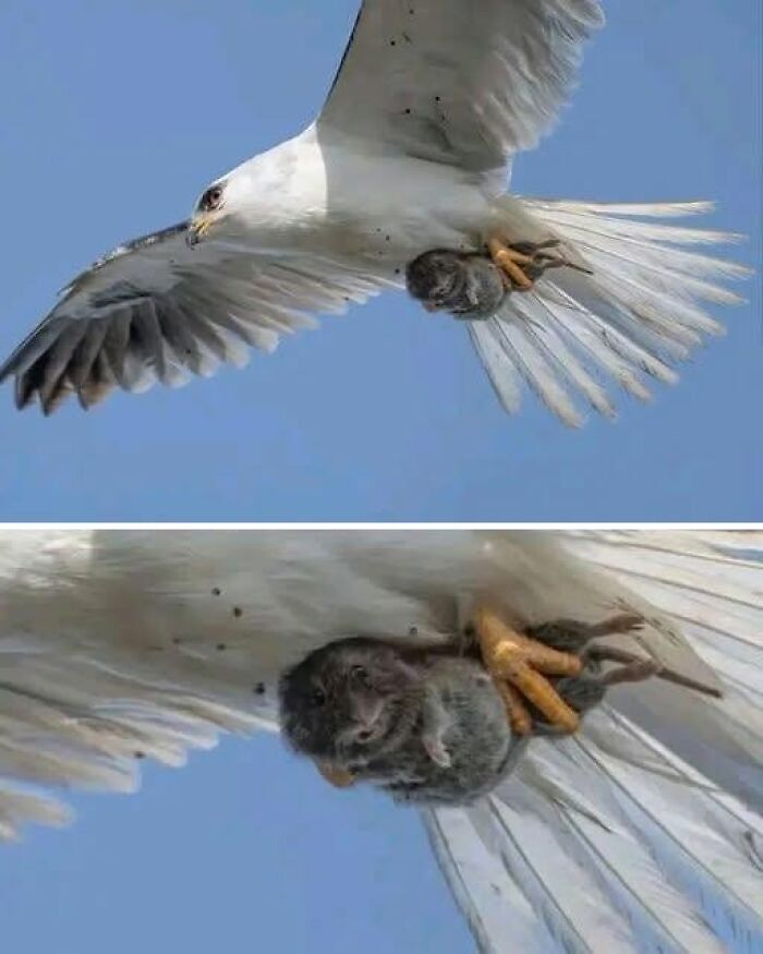 71 Interesting, Cool And Entertaining Pics That Had To Be Shared