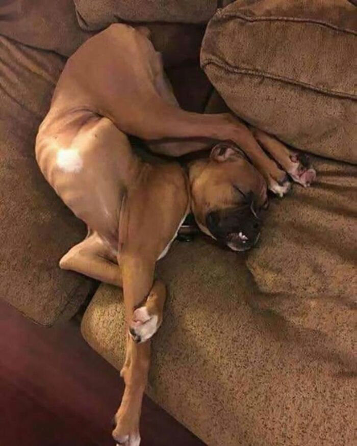 71 Interesting, Cool And Entertaining Pics That Had To Be Shared