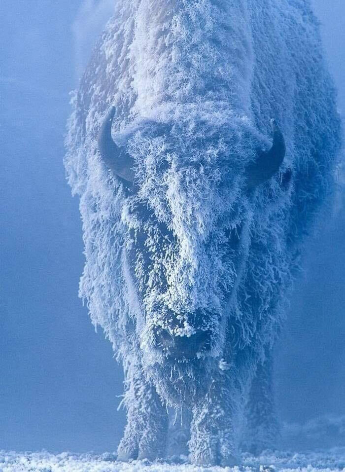 71 Interesting, Cool And Entertaining Pics That Had To Be Shared