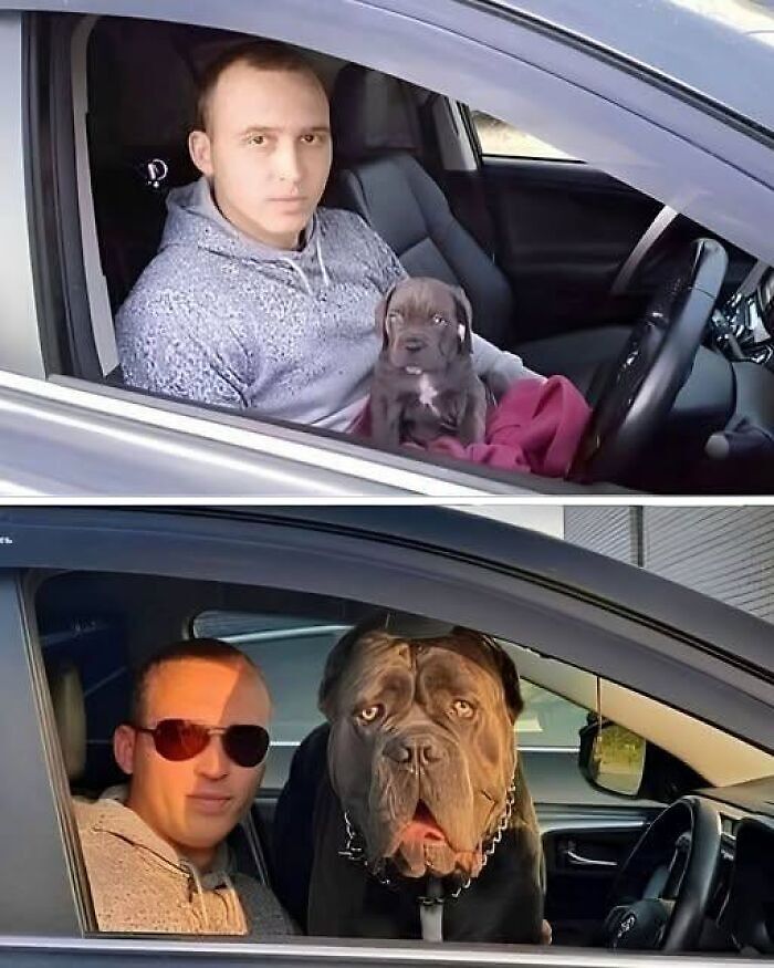 71 Interesting, Cool And Entertaining Pics That Had To Be Shared
