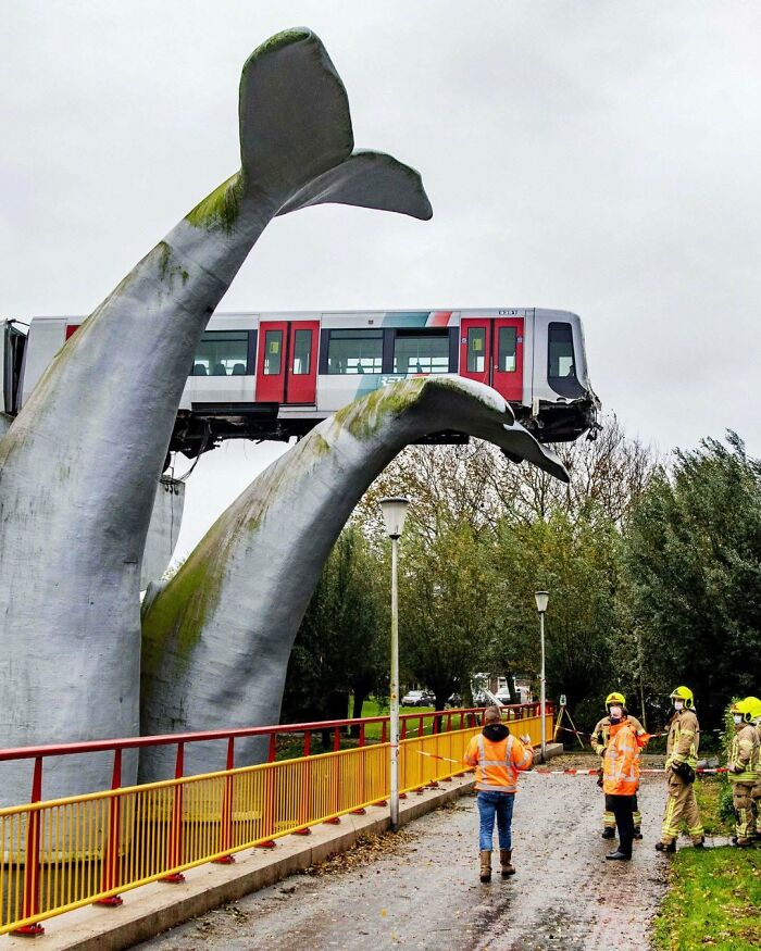 71 Interesting, Cool And Entertaining Pics That Had To Be Shared