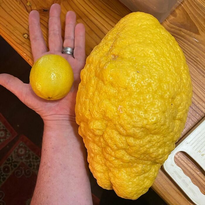 71 Interesting, Cool And Entertaining Pics That Had To Be Shared